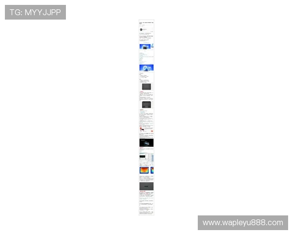 乐鱼电脑版更新日志分析了解最新版本的新增内容和优化内容