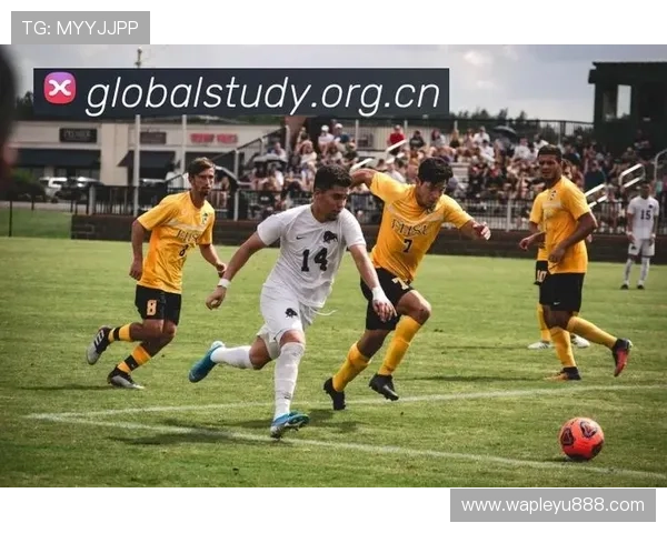 乐鱼体育官网真人游戏的优势与特色,打造最真实最刺激的线上娱乐体验