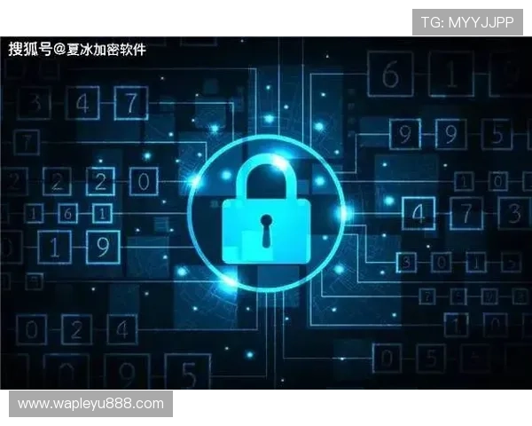 乐鱼足球体育app安全性与隐私保护措施：保障用户信息安全的全面策略分析